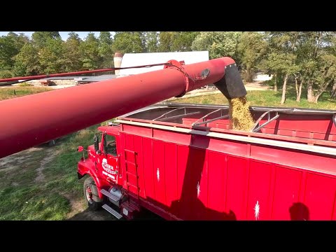 My Last Day Combining Soybeans! Harvest 2025