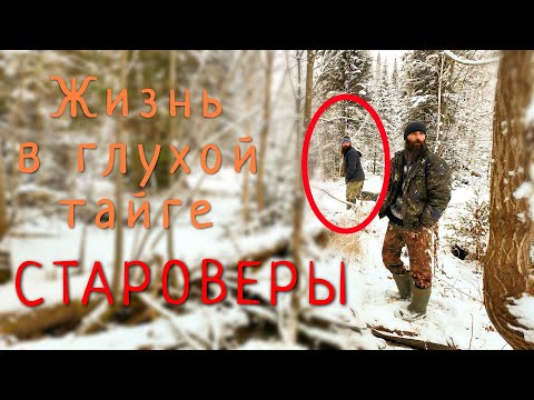 Hermits - 100 Years of Living in the Forest/Exclusive Video from a Taiga Lodge/Part 4