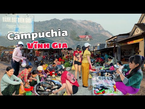 Biên giới Campuchia ngập tràn cá đồng siêu rẻ chợ Vĩnh Gia Lạc Quới