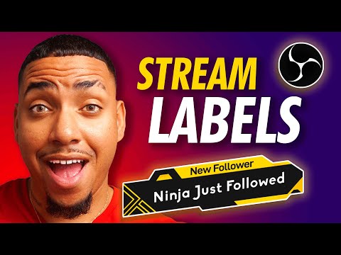 OBS Studio - Adding Stream Labels (Follow, Dono, Subs)