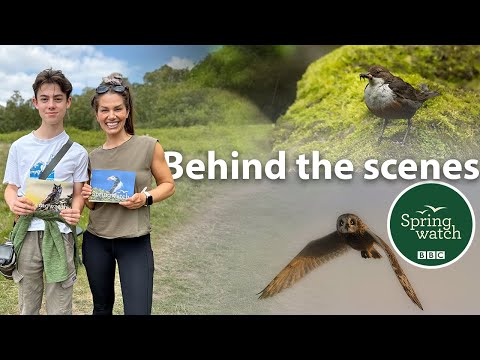 I went behind the scenes on Springwatch in the Peak District...