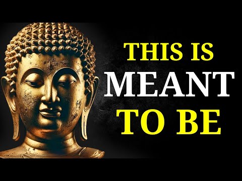 (NO ADS) Fall Asleep to the Best Buddhist Wisdom on Why You Are Exactly Where You Need to Be