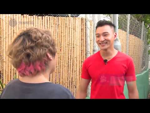 拉布拉多破壞王！凶狠牧羊犬點教好？【Eric Ko - 煉狗術師S1 - EP3 全集】