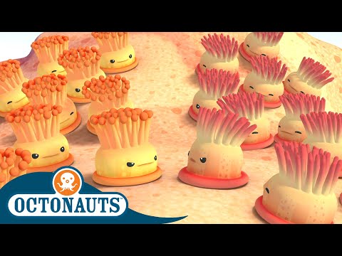Octonauts - Enemy Anemones and The Speedy Sailfish | Cartoons for Kids | Underwater Sea Education