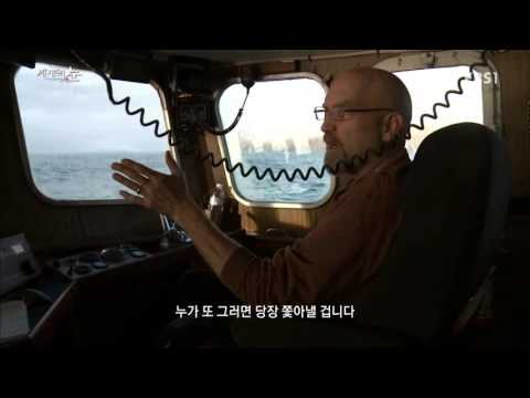 극한해-알래스카 만