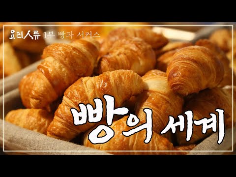 빵 때문에 파업도 했던 인류.. 최초의 빵을 찾아서｜요리인류 1부 FULL｜[다큐여행] KBS 20140326