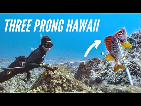 Three Prong SPEARFISHING Hawaii (SAM'S NEW SPEAR!!!)