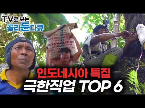 (ENG SUB) 🔥목숨 내놓고 생계유지하는 인도네시아 극한직업 TOP6 몰아보기｜Indonesian Extreme Jobs Compilation｜극한직업｜#tv로보는골라듄다큐