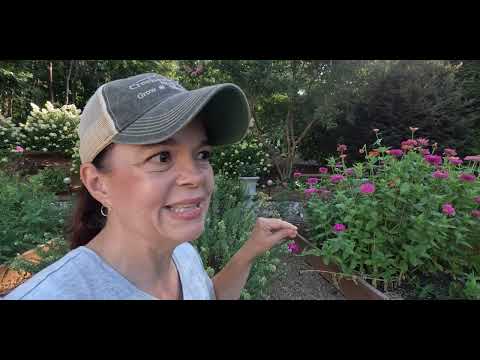 The Garden Transformation Begins!