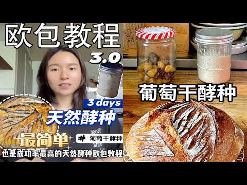 美食教程｜欧包3.0 用最简单的天然酵种做欧包 3天起种 成功率高 发酵思路分享