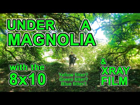 XRAY Film & Three Filters: Yellow, Green, Blue…