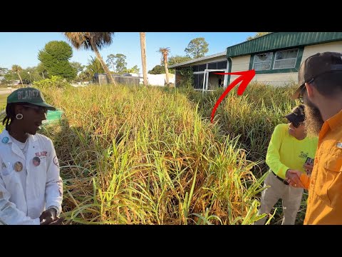 They said OWNER ABANDONED house and LEFT CATS STUCK INSIDE!!!