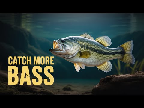 How to Catch Largemouth Bass Complete Beginner's Guide
