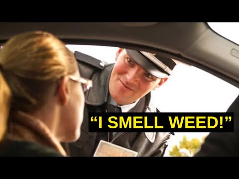 NEW Tips If Cops Says They Smell Weed at Traffic Stops (Lawyer Legal Advice)