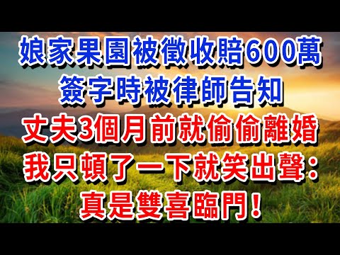 娘家果園被徵收賠 600 萬，簽字時被律師告知丈夫 3 個月前就偷偷離婚，已經再婚，我只頓了一下就笑出聲：“真是雙喜臨門！”