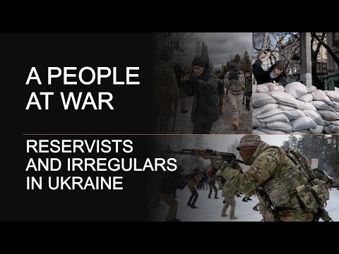 Reservists and irregulars in Ukraine - "A people at war"