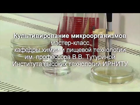 Мастер-класс «Биология» № 2, Тема: «Культивирование микроорганизмов»