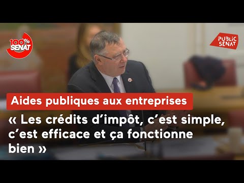 Aides publiques aux entreprises : audition PDG de TotalEnergies