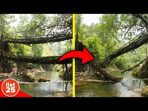 100 Oddly Interesting Facts That Will Make You Wonder