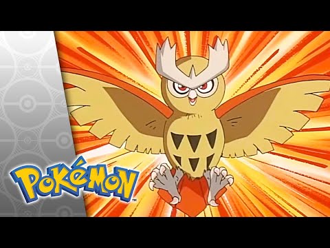 Carrying On | POKÉMON FULL EPISODE 7 | Season 4
