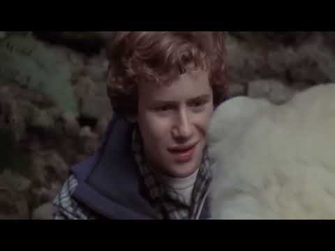 Mark Rendall Hollywood Inspirational Wildlife Adventure Movie