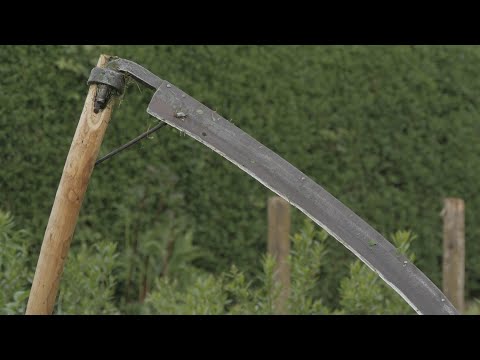 English scythe trimming