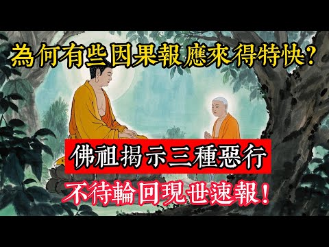 為何有些因果報應來得特快？佛祖揭示三種惡行不待輪回，現世速報！#立地成佛#佛陀#佛學#佛教#禪修#佛法智慧#佛教故事#佛教文化