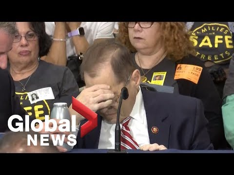 U.S. Congressman Jerry Nadler appears to pass out in New York