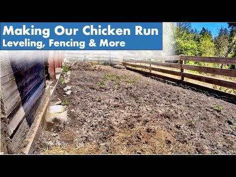 Creating a Space for Laying Hens