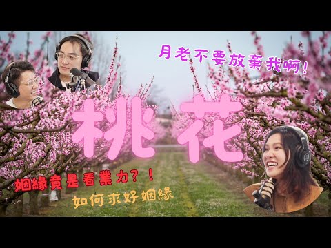 EP71｜姻緣還看業力平衡?!