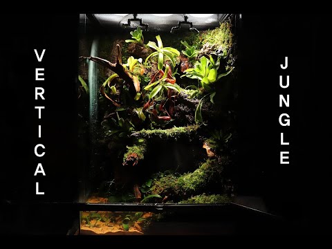 'Vertical Jungle With Waterfall' 90cm Paludarium | '폭포가 흐르는 90cm 수직 정글' 팔루다리움 |