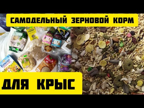 Самодельная зерносмесь для крыс/корм для крыс #моилюбимки #листиккексик #твимз #животные #крысы#rats