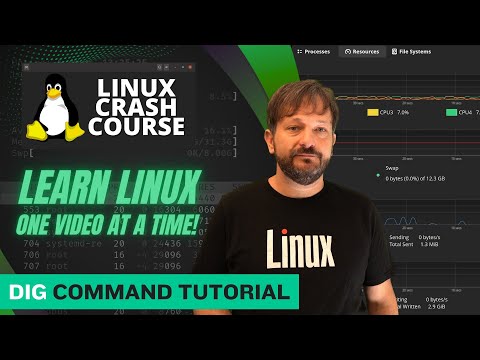How to Use the dig Command in Linux | DNS Lookup Tutorial