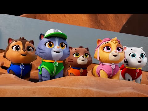 PAW Patrol - Kitten Catastrophe Crew | Season 11 Compilation | WildBrain Zoo | Kids Cartoons