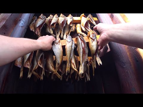 Холодное копчение рыбы. Окунь копченный на ольхе. Скоптил три ведра за раз.