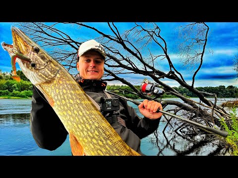 ДЕСНА - ЖОР після КАТАСТРОФИ? Осінній ЖОР Щуки на Десні! Ловля Щуки на Джиг Осінню 2024