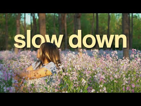 i stopped and created something again