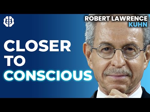 Landscape of Consciousness? Toward a Taxonomy of Explanations & Implications | Robert Lawrence Kuhn