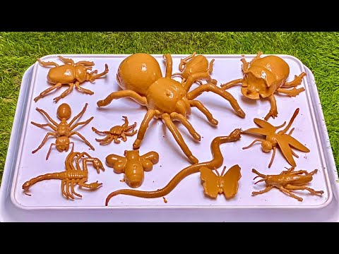 Insect Explorers: Fun Adventures in the Secret World of Tiny Creatures