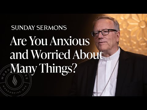 Are You Anxious and Worried About Many Things? - Bishop Barron’s Sunday Sermon