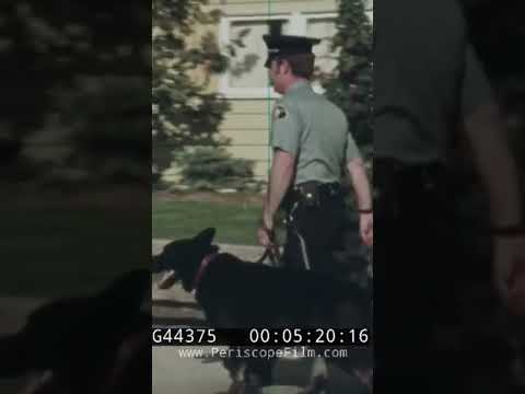 Baltimore 1958 the first police dogs 🚨 🐕