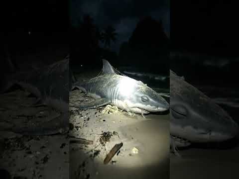 They were really Forgotten | Abandoned AI | #shorts #youtubeshorts #ai