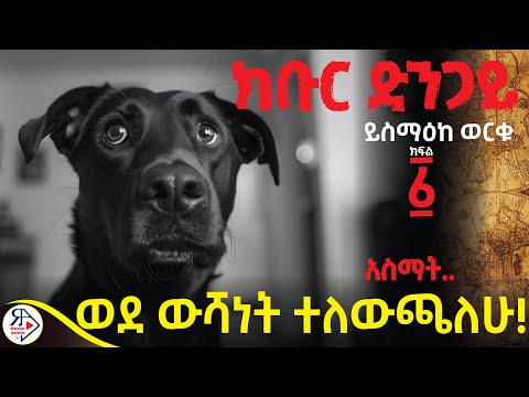 ጀርመናዊቷ አንገቷን እንድልስላት አስጠጋችኝ!|በጥንቱ ዓለም ምስጢር ሰምጫለሁ! |ክቡር ድንጋይ~ይስማዕከ ወርቁ~ሙሉ መፅሐፍ ትረካ~ክፍል አንድ#RADIOADDIS