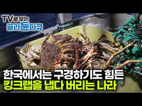 [ENG SUB] Why Norwegian fishermen throw away prized king crabs #PICKDOCU