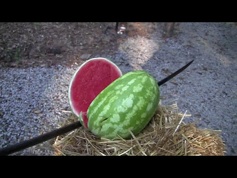 1860 Light Cavalry Saber