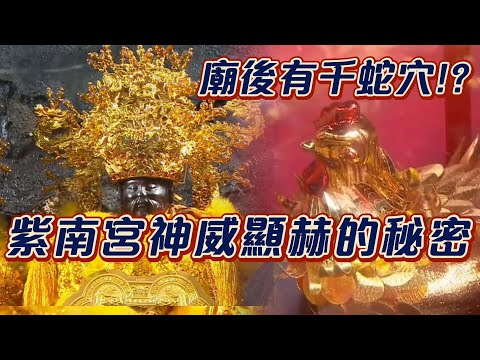 金雞母就是土地公的分身!？紫南宮後的小龍穴 是神威顯赫的秘密!？｜寶島神很大online