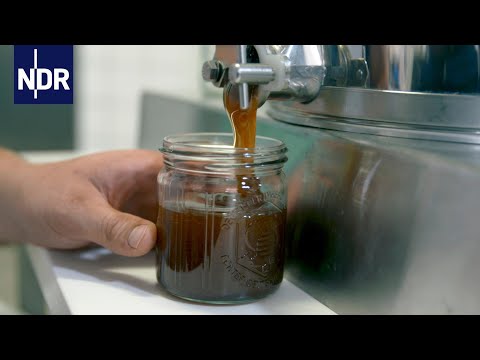 Bienen: Unser Honig | Wie geht das? | NDR Doku