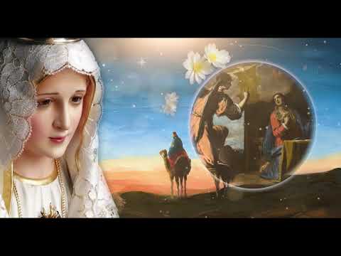 TODAY HOLY ROSARY: MONDAY, FEBRUARY 16, 2026 - THE HOLY ROSARY MONDAY