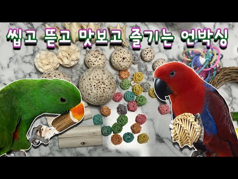 [지구젤리/언박싱] 씹고 뜯고 맛보고 즐기는 언박싱 영상📦