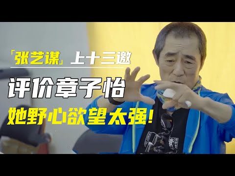 汪峰章子怡宣布离婚！张艺谋曾说：她野心欲望太强，再上十三邀他竟比汪峰更狠 #十三邀 #许知远#窦文涛#马东